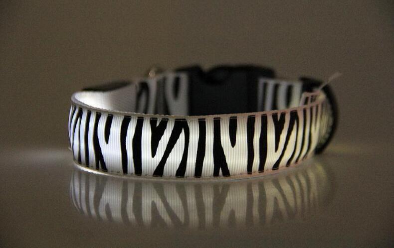 Night Safari Collar