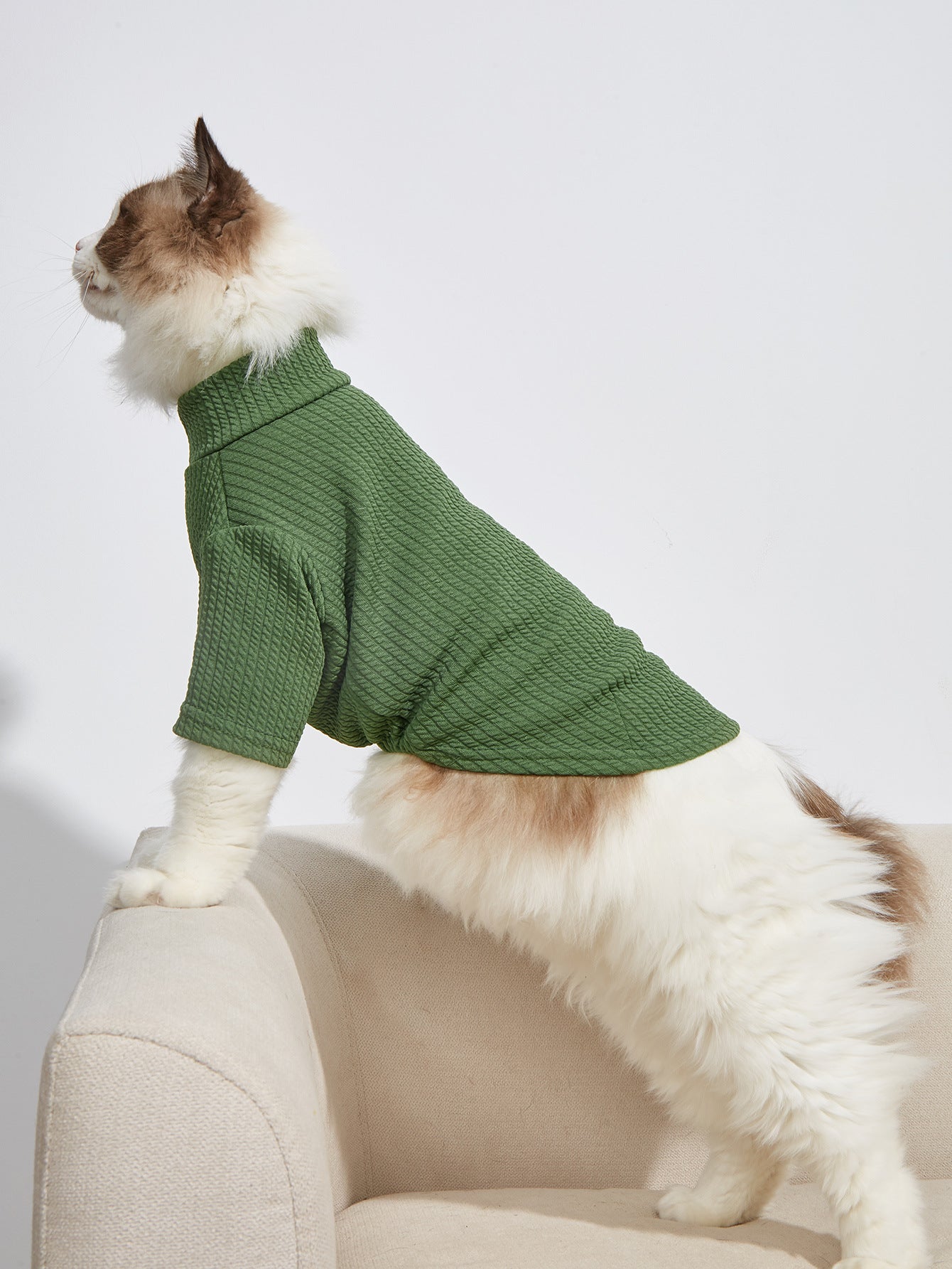 The Catwalk Vest