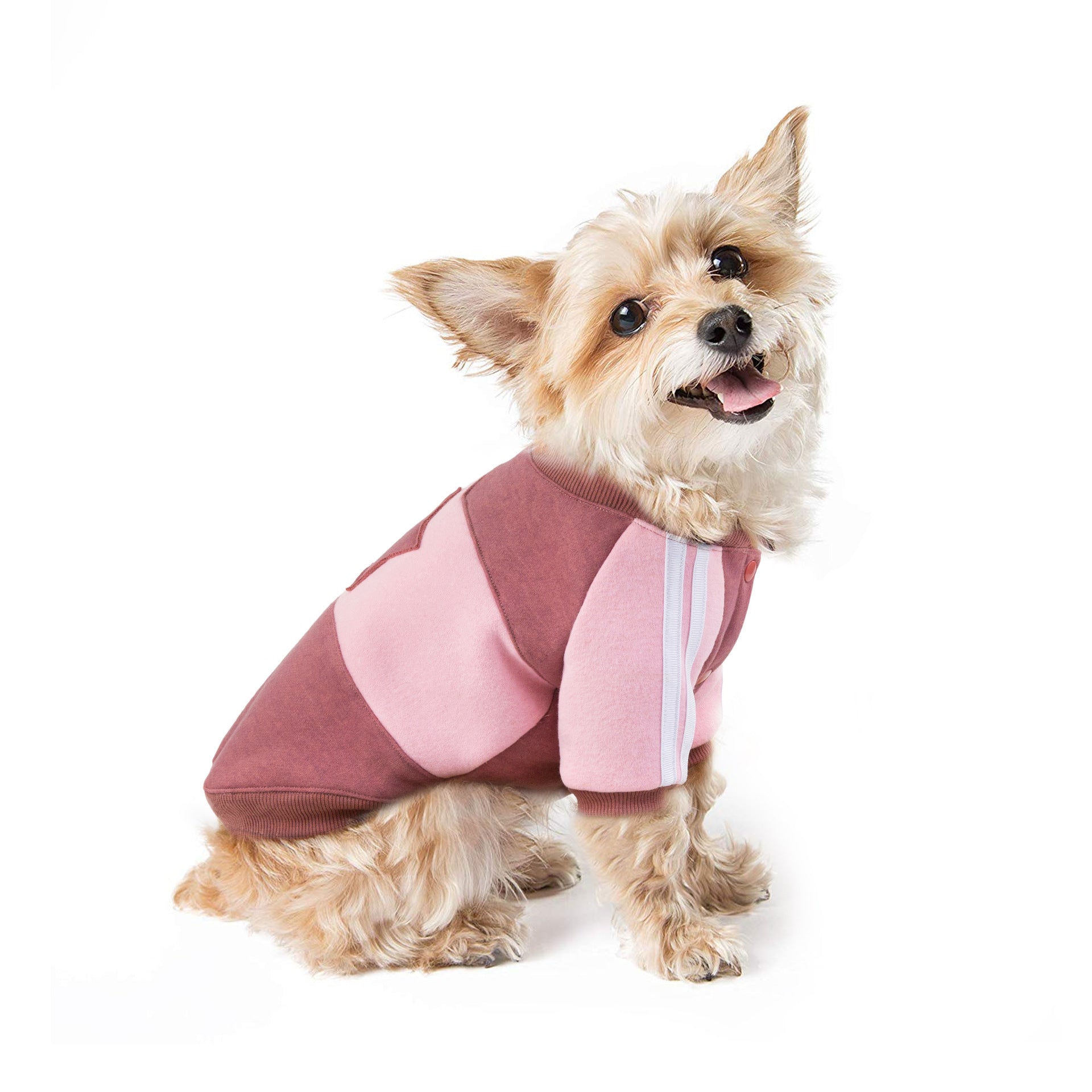 The Lounger Pet Hoodie