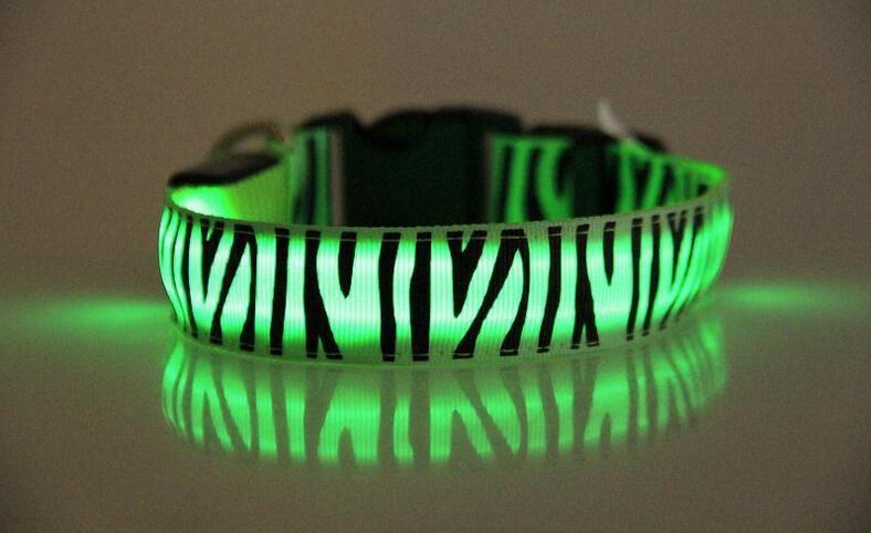 Night Safari Collar