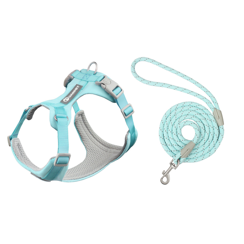 Strut & Shine Harness