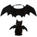 Bat Cat Rises.