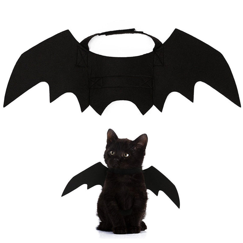 Bat Cat Rises.