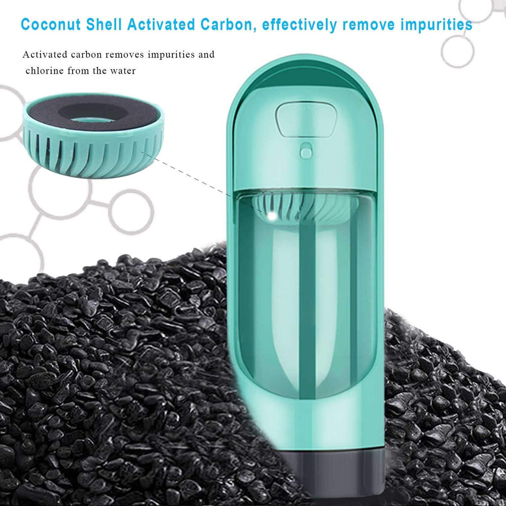 The Pet Flask