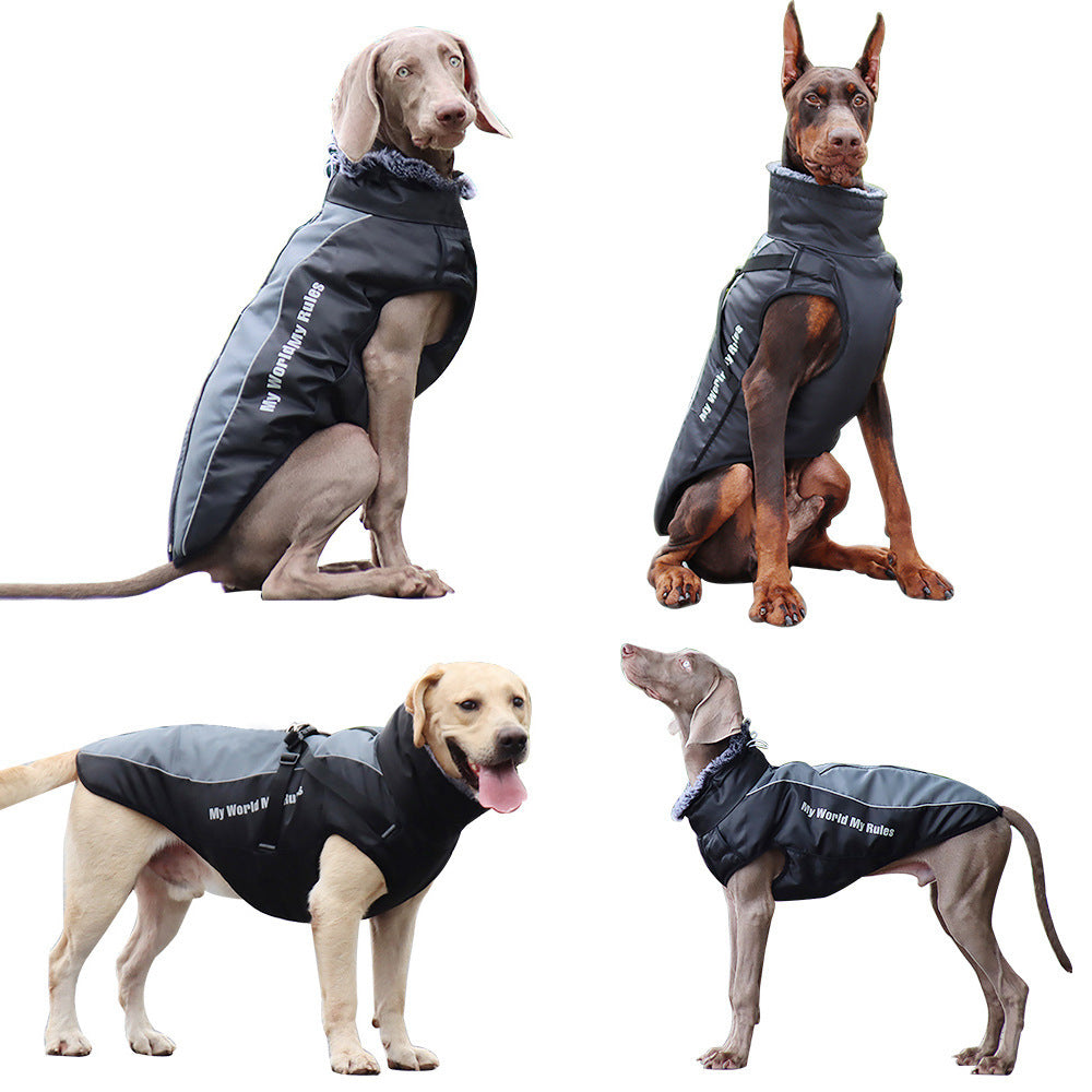 The Night Shift Jacket