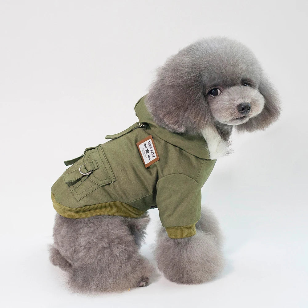 Too Cute To Be Cold