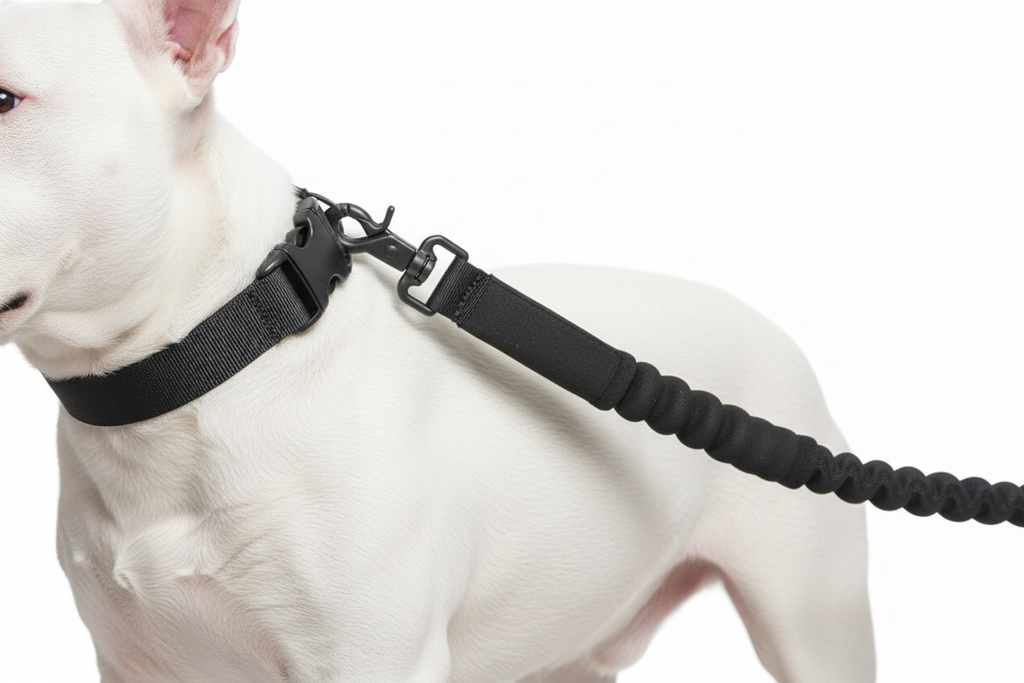 Close-up of tactical leash details