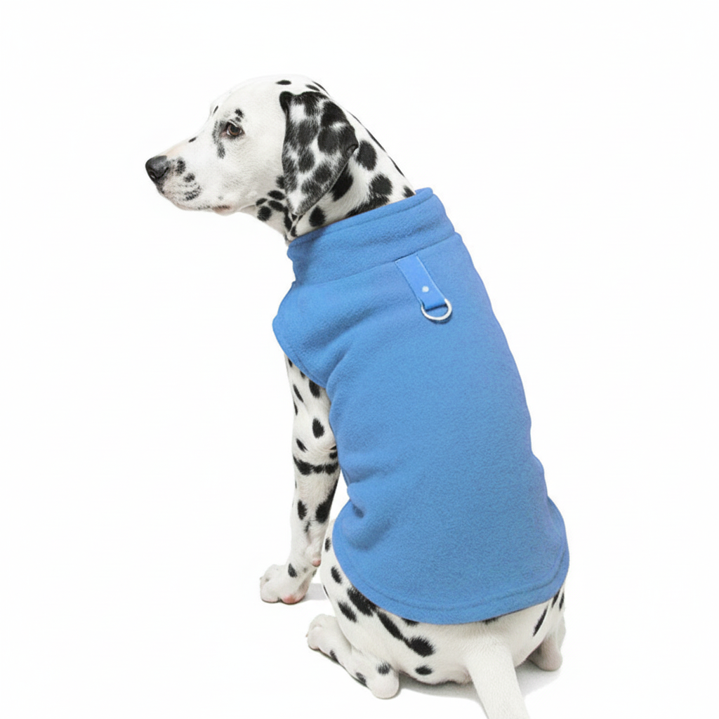 Dalmatian puppy wearing blue fleece dog vest