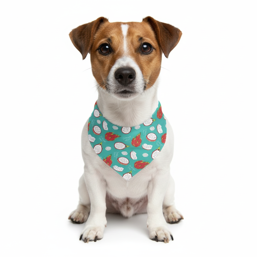 Dragon Fruit Bandana on Jack Russell
