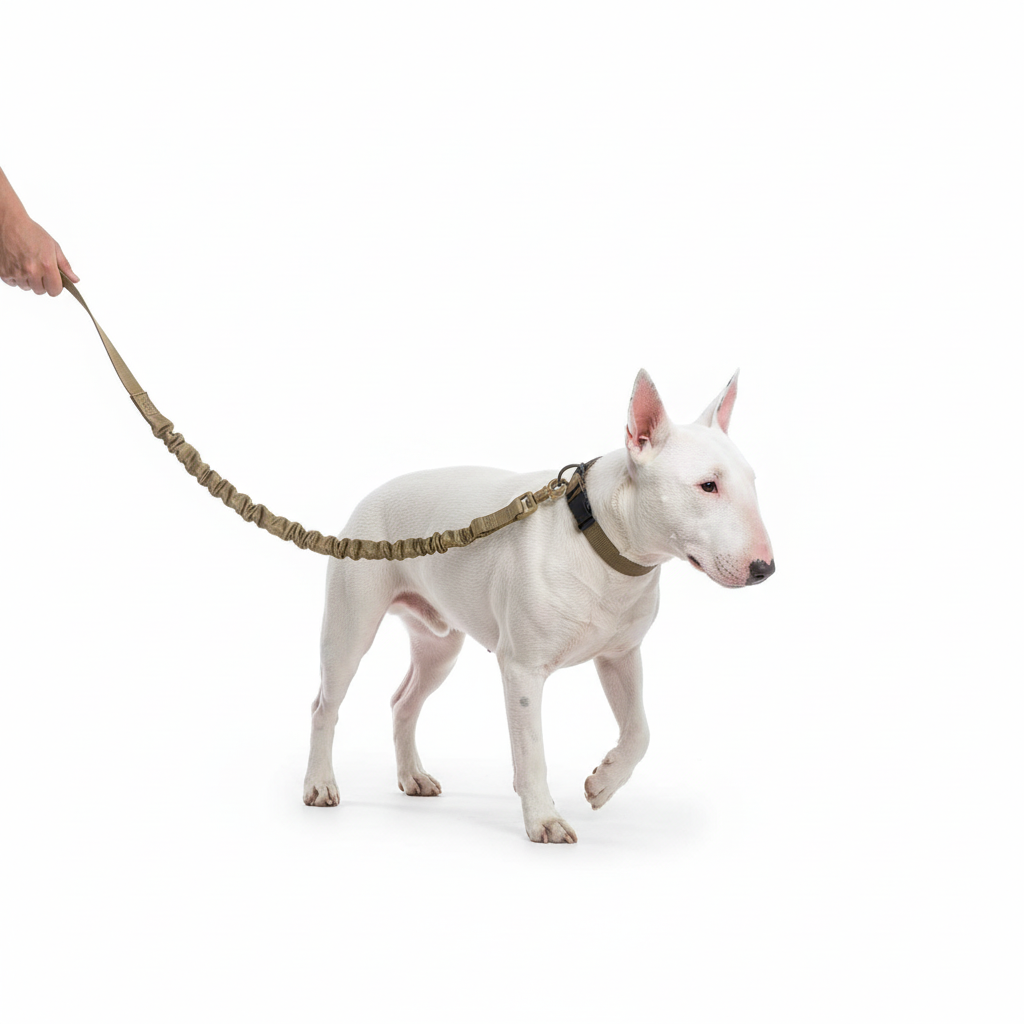Full length tactical leash in action