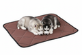 Husky Puppies Laying on Brown Quilted Pet Mat