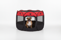 Staffordshire terrier sitting inside octagonal pet tent playpen