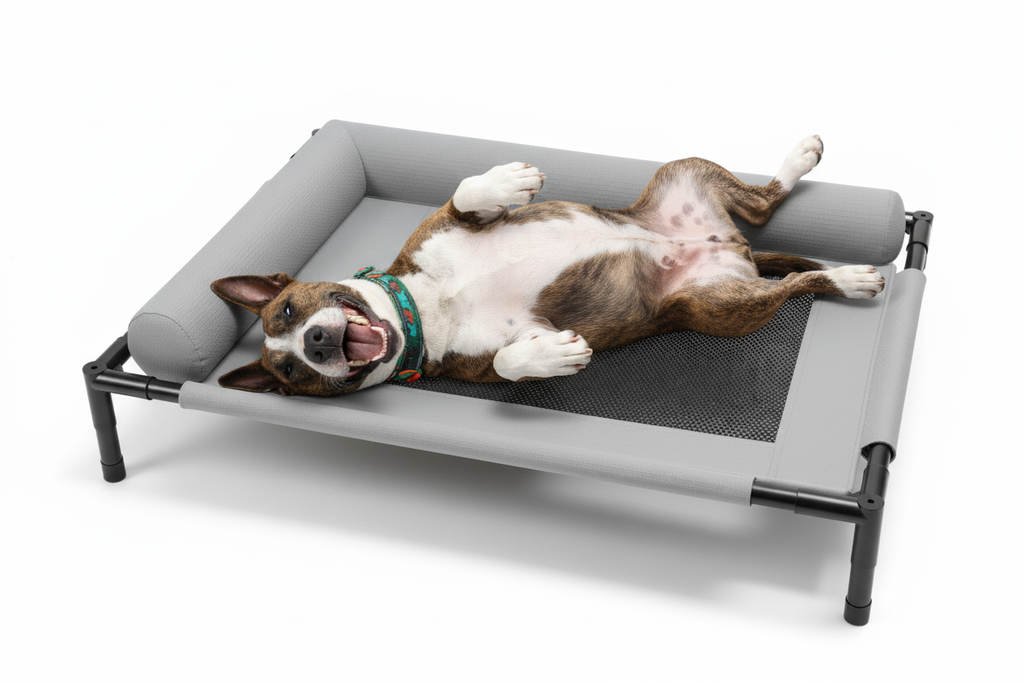 Brindle dog relaxing on elevated mesh dog bed