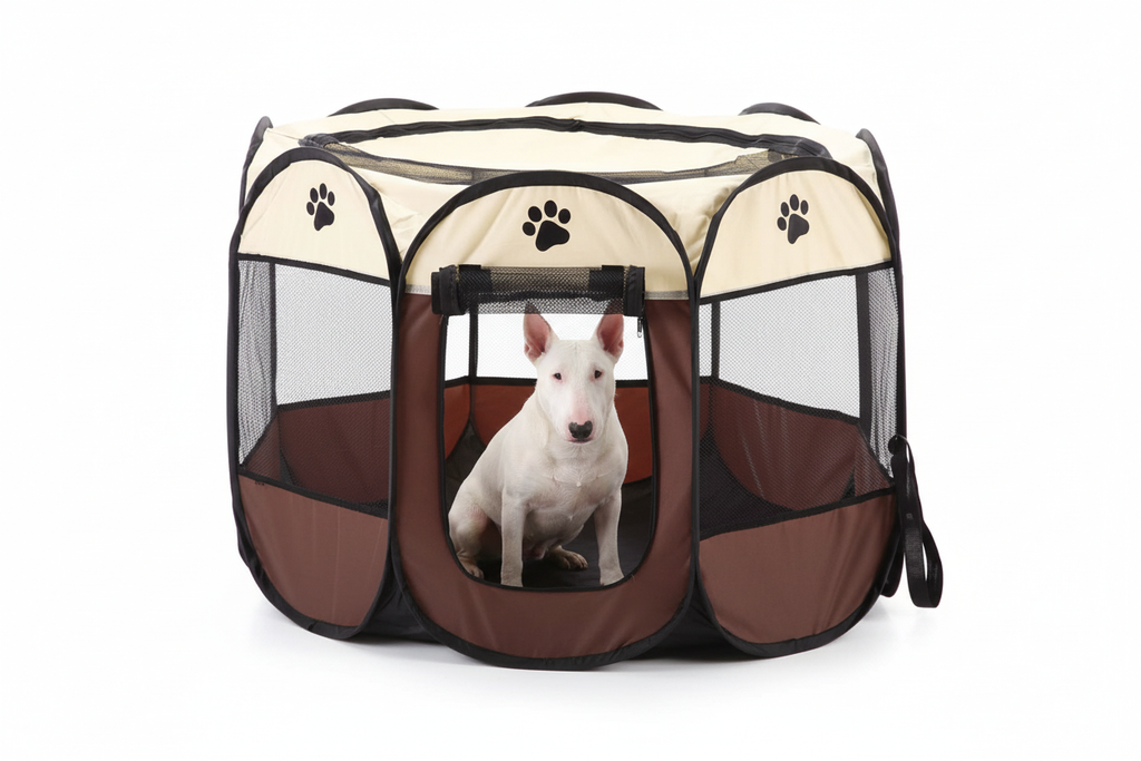 White Bull Terrier in brown and cream pet tent