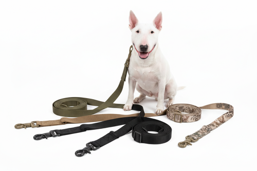 Multiple color options with dog