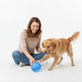 Owner and dog playing with blue interactive LED ball
