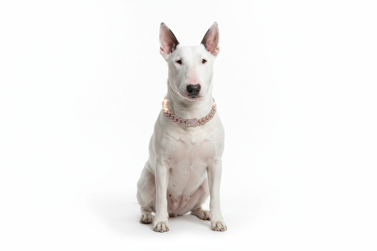Portrait style - white background