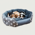 Puppies Sleeping in Star Print Pet Bed