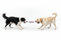 Spiral Rope Toy – Two Dogs Tug-of-War