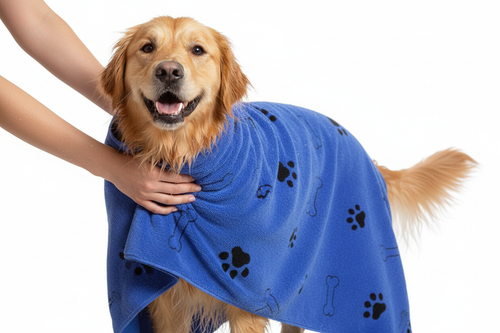 Wet Dog Wrapped in Blue Pet Towel