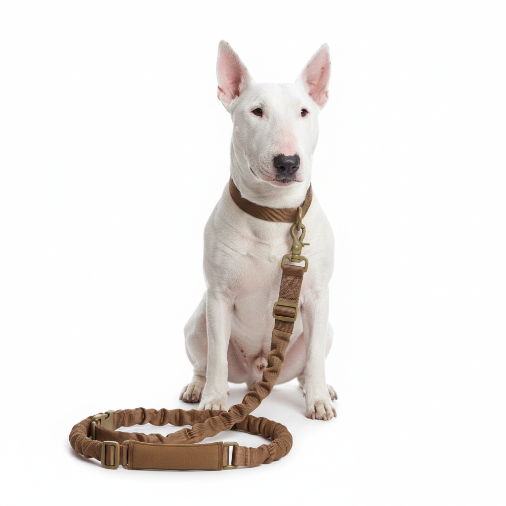 White dog with brown tactical leash