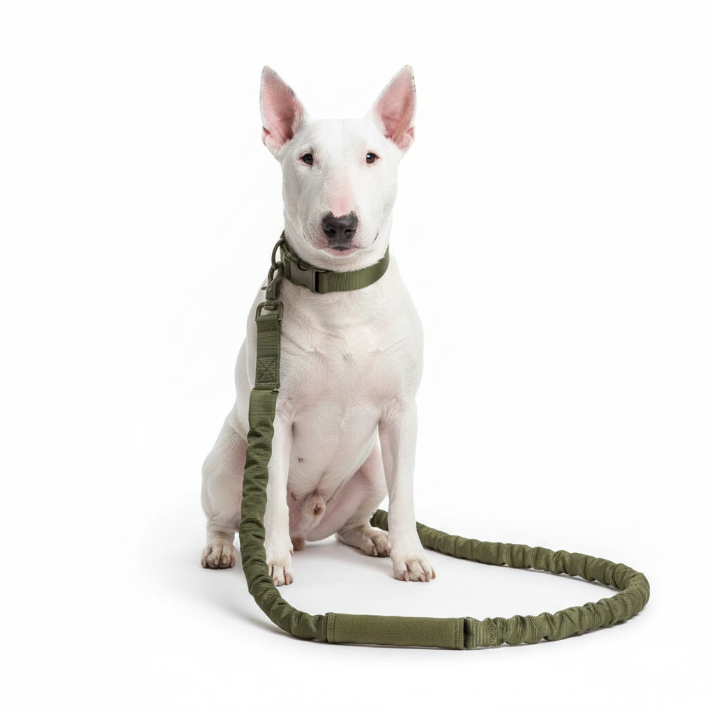 White dog with green tactical leash